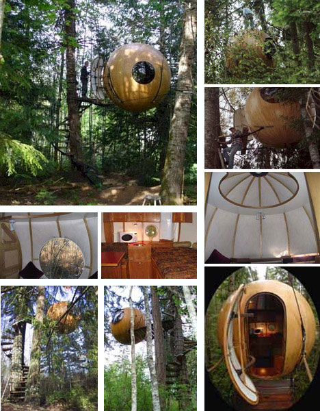 Creative and Unique Spherical Tree House Design