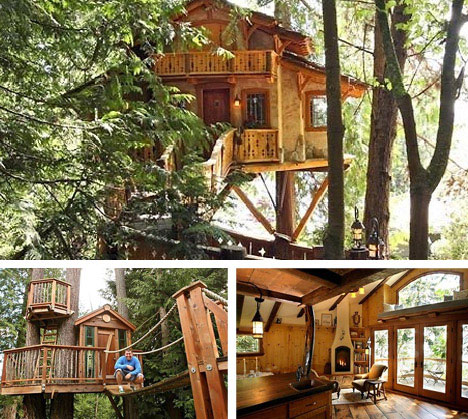 Seattle Tree House Architectural Designers