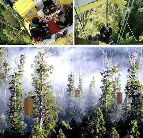 Worlds Highest Environmental Tree House