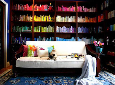 Color Coded Bookshelves
