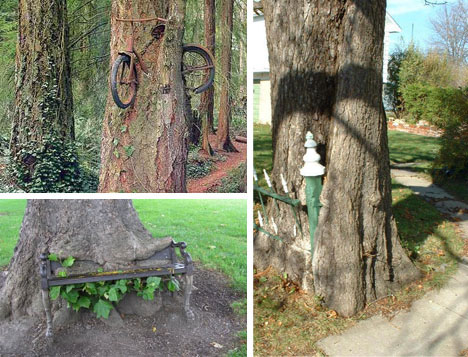 Trees Overgrowing Objects