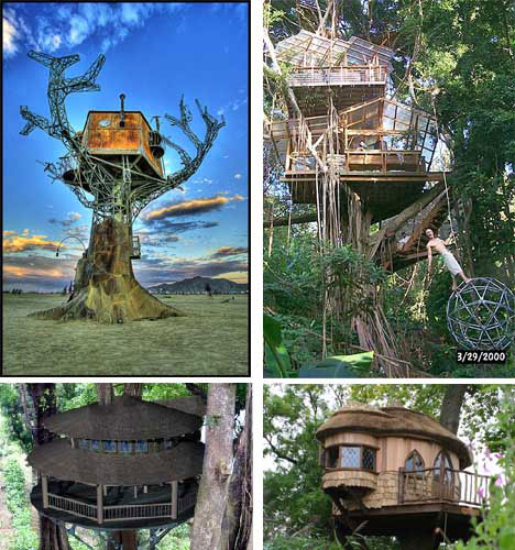 some tree house designs 2011