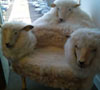 http://weburbanist.com/wp-content/uploads/2008/07/sheep-chair-thumb.jpg