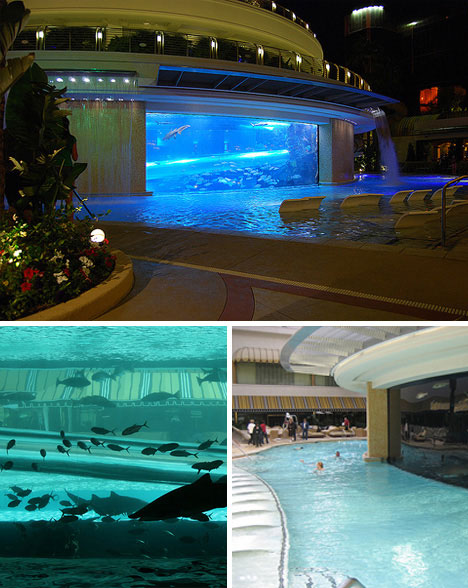 luxurious swimming pools golden nugget shark tank pool