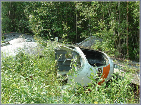 abandoned-arctic-plane-wrecks-4.jpg