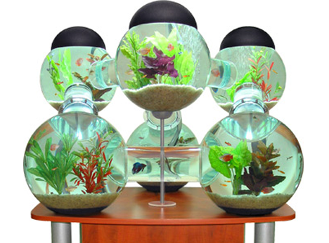 7 Amazing Aquariums and Fish Tank Designs & Systems | Urbanist
