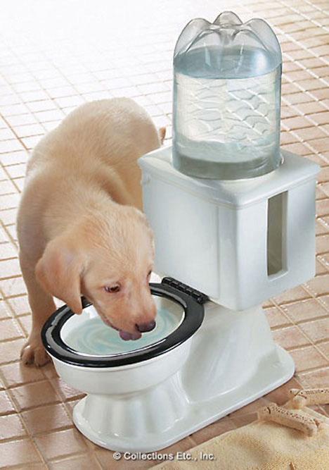 Toilet Dog Water Bowl