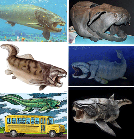 dunkleosteus. (Images via fmnh, fogato)