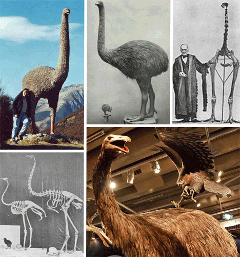 What are the most well-known extinct animals?