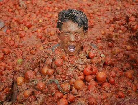 food fights biggest tomatina toss cookies tomato tomate spain bogota oddity central via