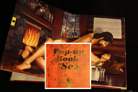 Popup Book Of Sex 15