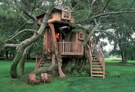 tree house multi story