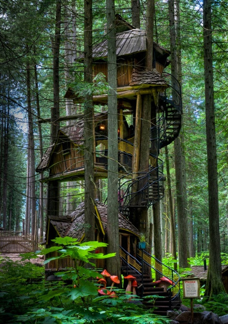 tree house of fairy tales