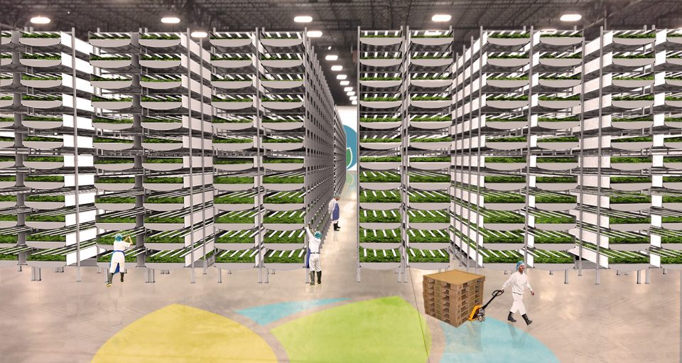 World’s Biggest Indoor Vertical Farm Near NYC to Use 95% ...