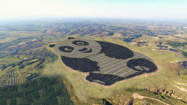 Panda Power Plant: Shaped Solar Panel Array Forms China's National Animal –  HollandZ