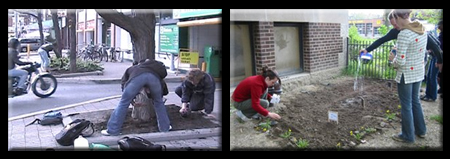 People Actively Guerilla Gardening