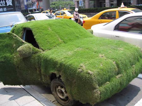 Crazy Grass-Covered Car