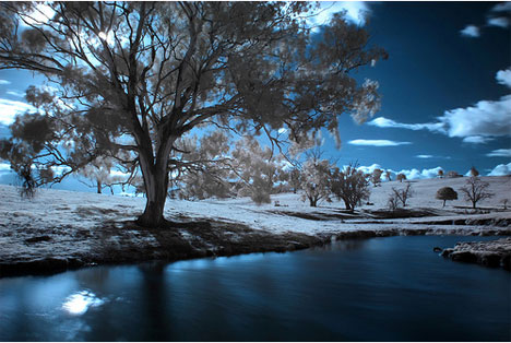 naomi frost infrared photography