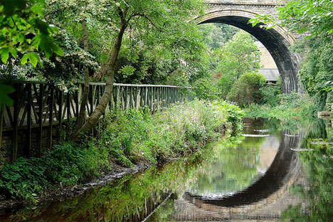 reflection and symmetry bridge