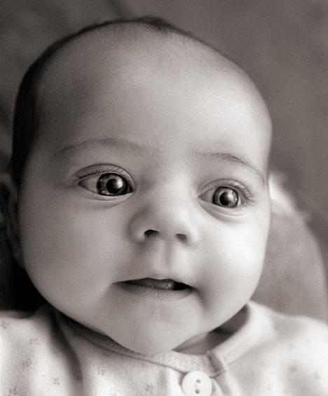 sara heinrichs black and white baby portraits