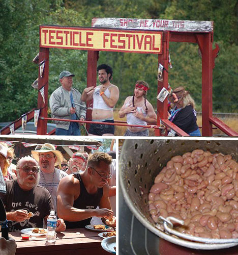 turkey-testicle-festival