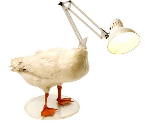 Duck Lamp
