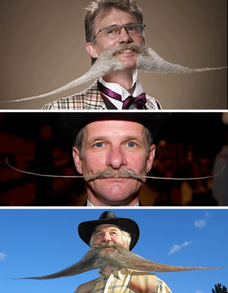 Long-Mustache