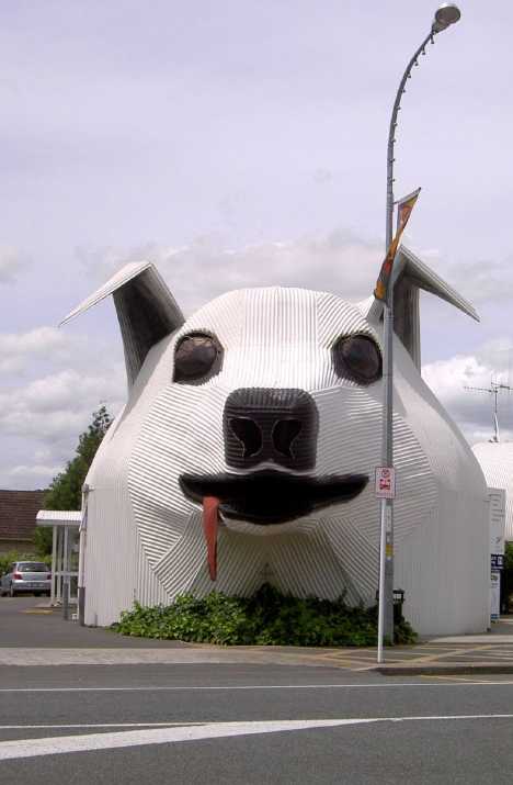 Big Dog Tirau New Zealand