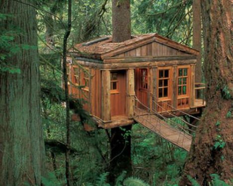 Treehouses Temple of the Blue Moon