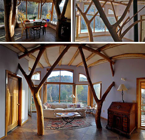 Treehouses Whole Tree Building 1