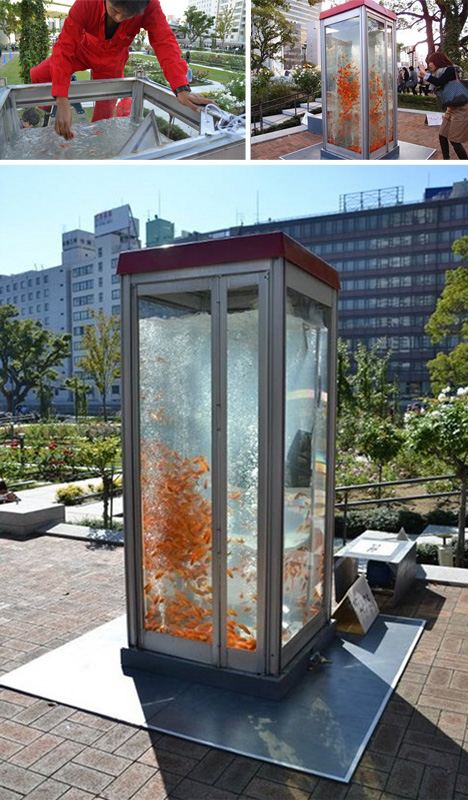 phone booth goldfish tank