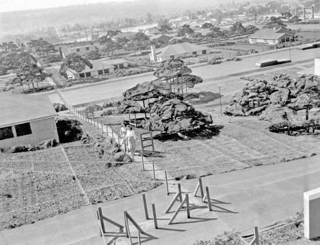 boeing plant camouflage roof