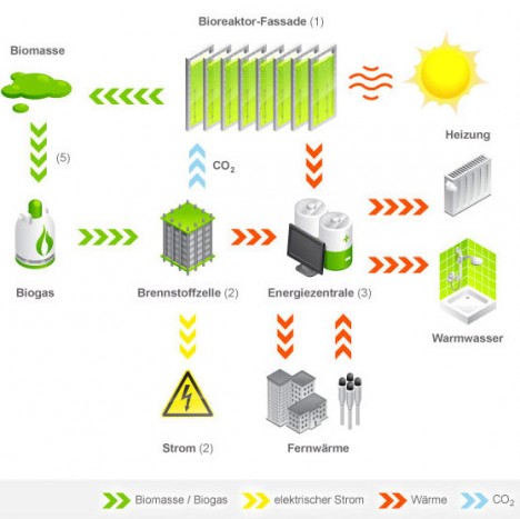 biomass building facade diagram