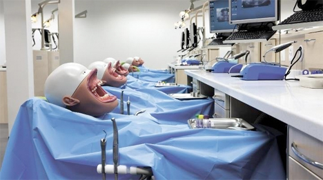 Creepy Dental Training Heads