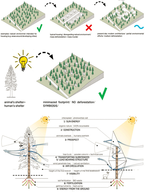 treehouse impact study diagram