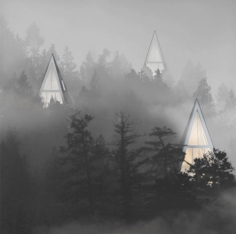 treehouses situated in forest