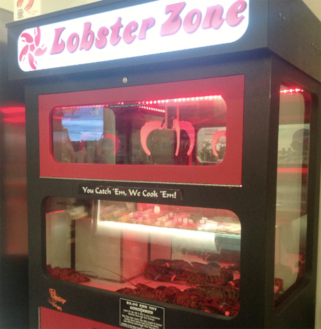 Weird Vending Machines Live Lobster