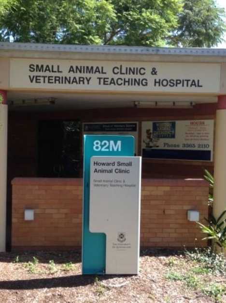 Small Animal Clinic UQ Brisbane closed