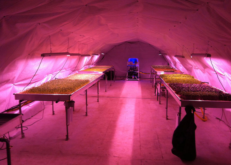 Deep Roots Underground Farm in London AirRaid Tunnels Urbanist