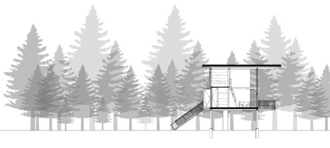 raised cabin forest section
