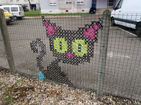 urban cat closeup fencing