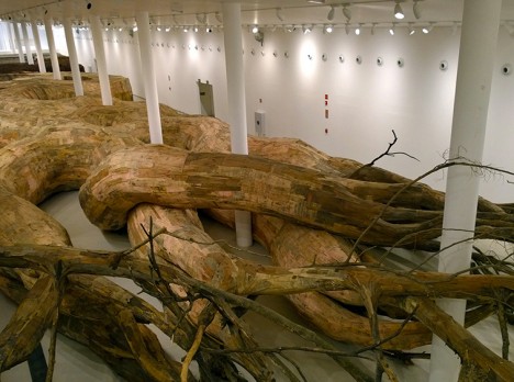 Tree Root Tunnel Installation 1