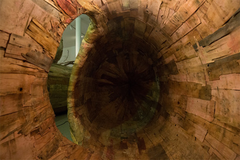 Tree Root Tunnel Installation 8