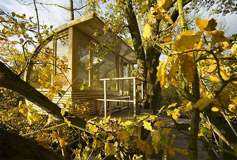 Baumraum Alder and Oak Treehouse 2