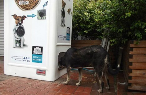 Stray Animal Vending Machine 1