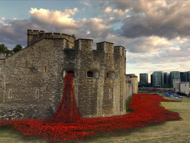 Tower of London Poppies 1