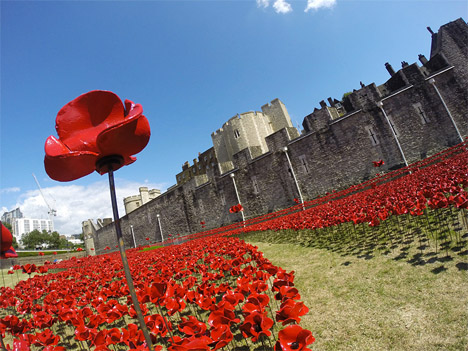 Tower of London Poppies 2