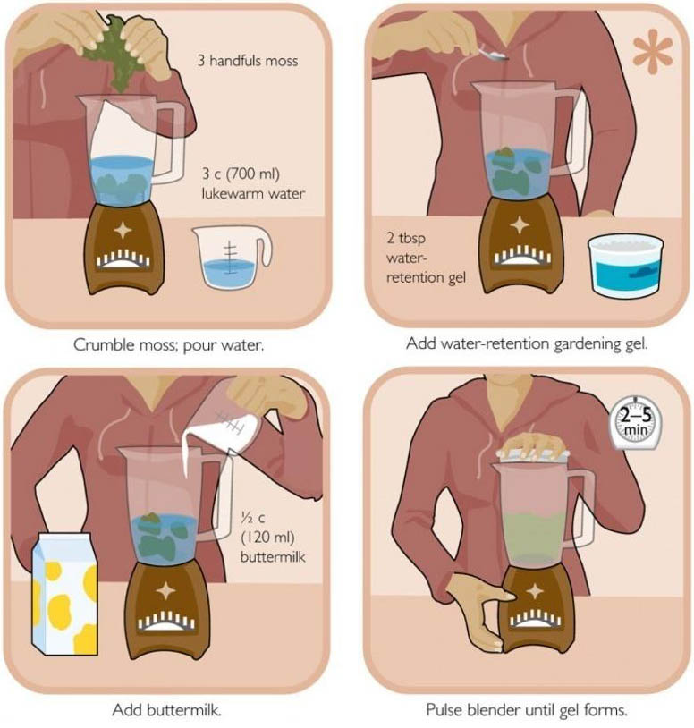 Guerrilla Moss Graffiti 8Step DIY Guide to Green Wall Art Urbanist