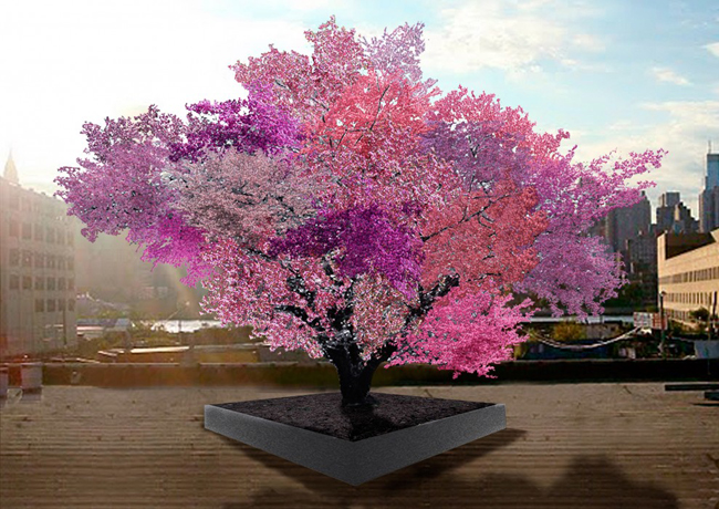 tree of 40 fruits