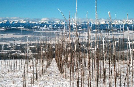 land artwork surface copyright